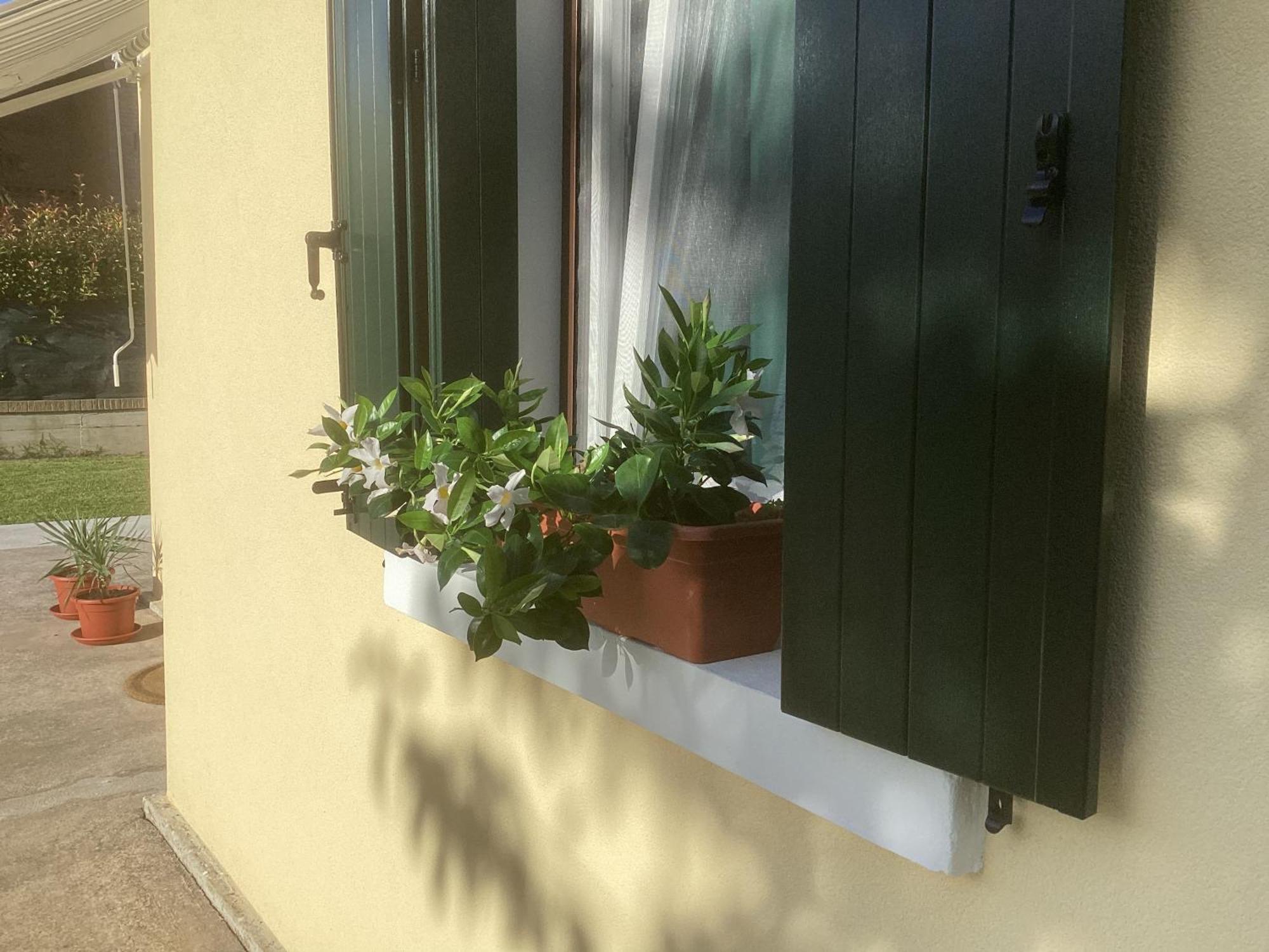 La Casa Gialla Scardovari ภายนอก รูปภาพ